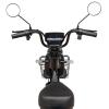 Велосипед з електромотором SPARK RIDER 14" 48V/500W/20Ah Синій