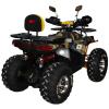 Квадроцикл SP125-13 (2026)